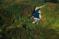 Belgrade Forest