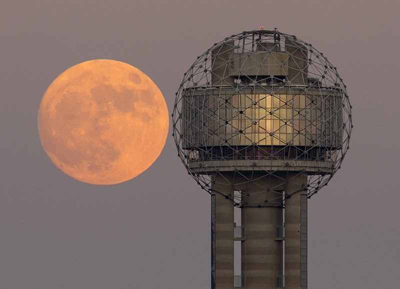 The moon rises behind Reunion Tower in downtown Dallas, Sunday evening, Nov. 13, 2016. (AP Photo)