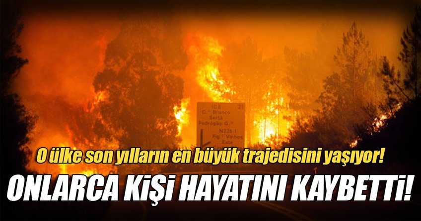Portekiz’de orman yangını: 43 ölü