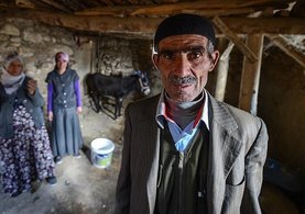 Çobanın otuz yıllık emeğini çaldılar