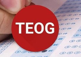 TEOG 2016 sınav sonuçları bugün açıklandı! TEOG sınav sonuçlarını öğrenmek için tıklayınız