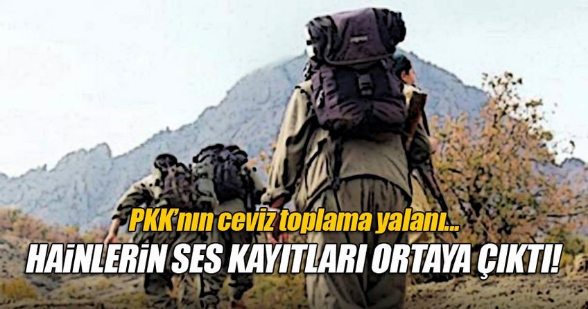 PKK'nın ceviz yalanı telsiz konuşmalarına yansıdı