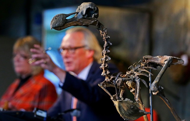 uctioneer James Rylands sells a rare near-complete Dodo skeleton to a private collector for u00a3346,300 pounds ($430,000) (AP Photo)