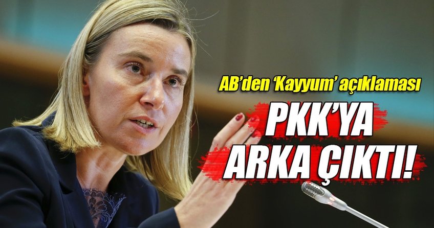 Kayyum kararına AB'den ilk yorum