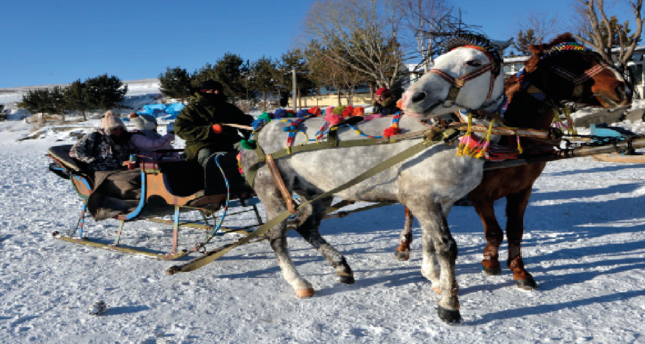 A must for winter tourism: Sleigh tours at Cıbıltepe Ski Resort