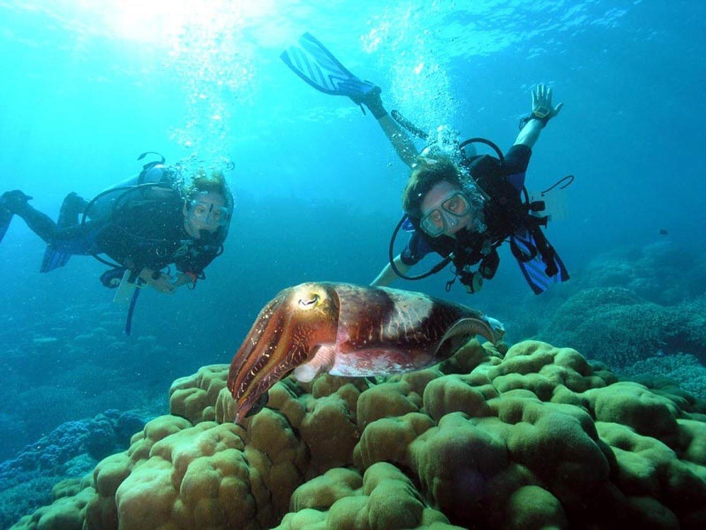Into the deep: Diving spots in and around Antalya