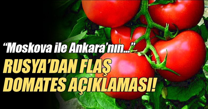 Rusya'dan önemli domates açıklaması!