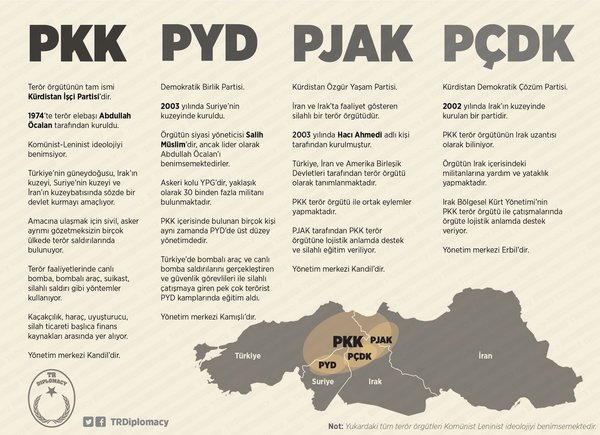 ABD açıkladı: 'Erdoğan haksız değil, Öcalan'ın kardeşi 'PYD'yi PKK kurdu' dedi!