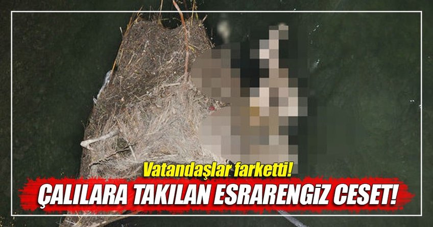 Sulama kanalında ceset bulundu