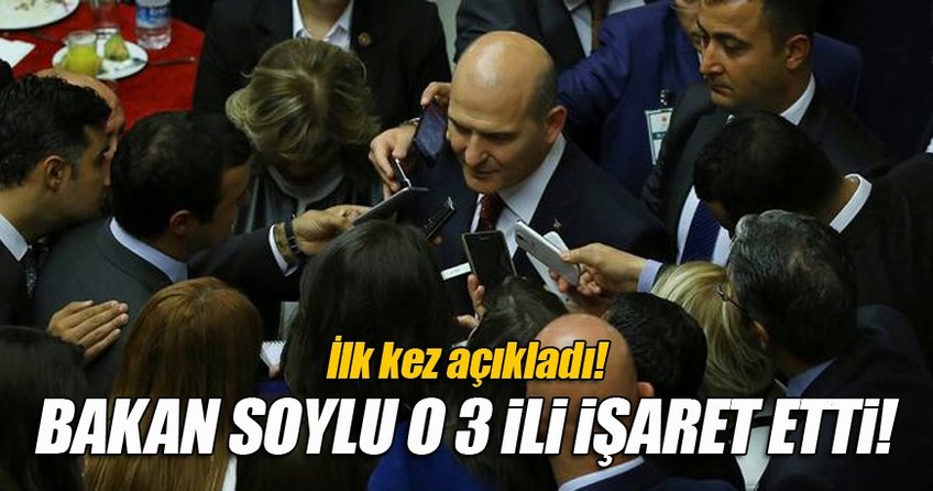 Soylu: 3 ilde yerinde denetim var