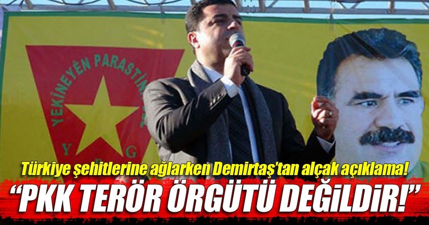 Demirtaş itiraf etti!