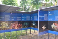 Photos by underwater photographer Ateu015f Evirgen and video from Seru00e7o Eku015fiyan reveal what is happening in the sea and to underwater life, vividly and dramatically. The exhibition will be open for a year.