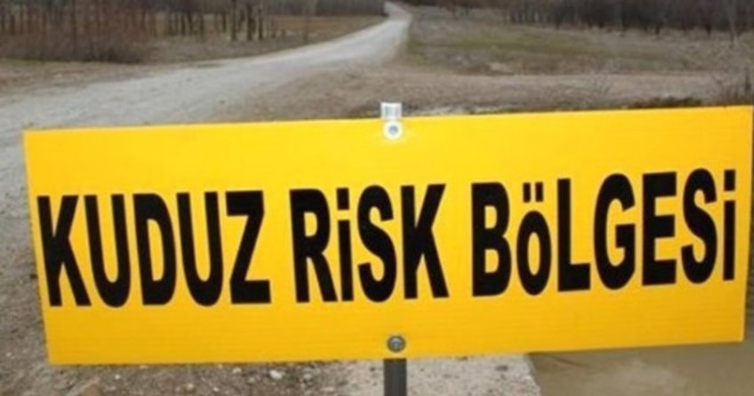 Kuduz kurban paniği: 104 kişi hastanede