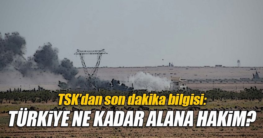 TSK'dan açıklama: O alanda kontrol sağlandı