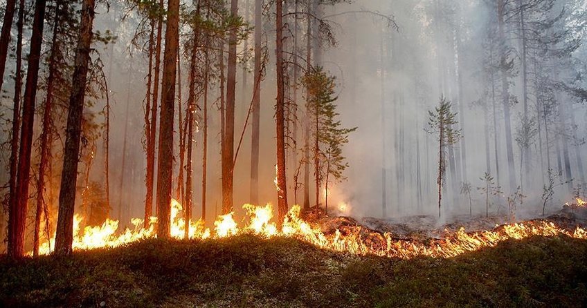 İsveç’te son 24 saatte 80 yerde orman yangını