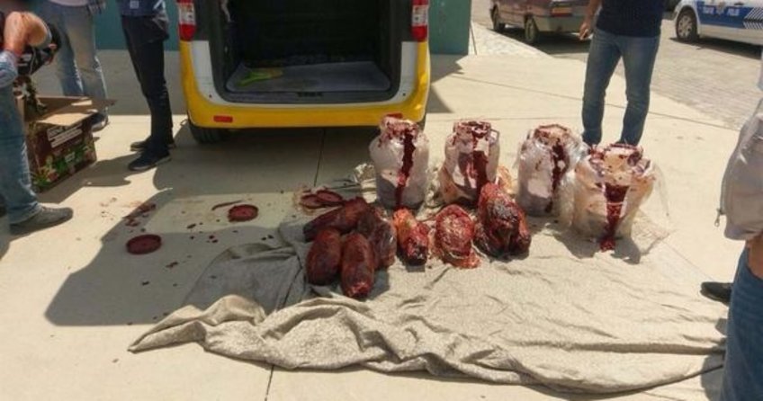 Uşak'ta salça bidonlarında esrar sevkıyatı