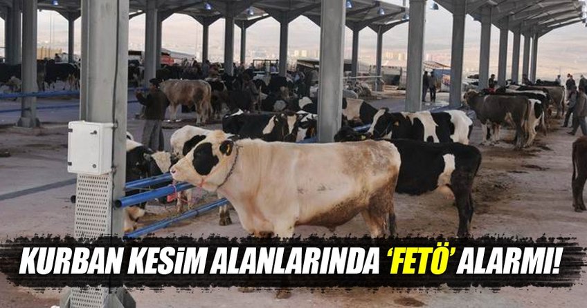 Kurban kesim alanlarında FETÖ önlemi