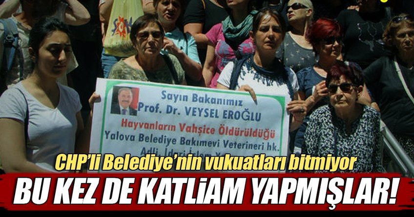 CHP’li belediyeye barınakta katliam cezası