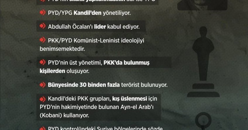 ABD açıkladı: 'Recep Tayyip Erdoğan haksız değil, Öcalan'ın kardeşi 'PYD'yi PKK kurdu' dedi!