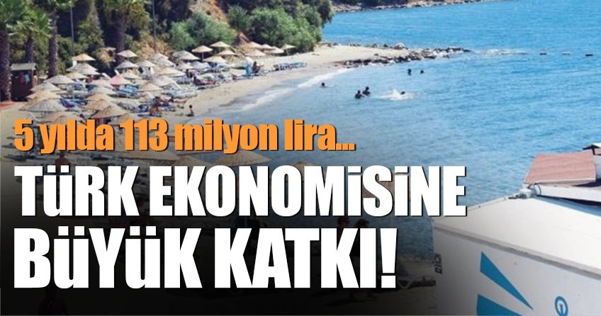 Türk ekonomisine 5 yılda 113 milyar lira