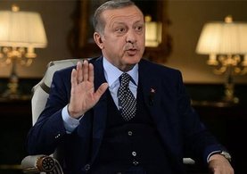 Erdoğan'dan Steinmeier'a tepki: Kendisine teessüf ediyorum