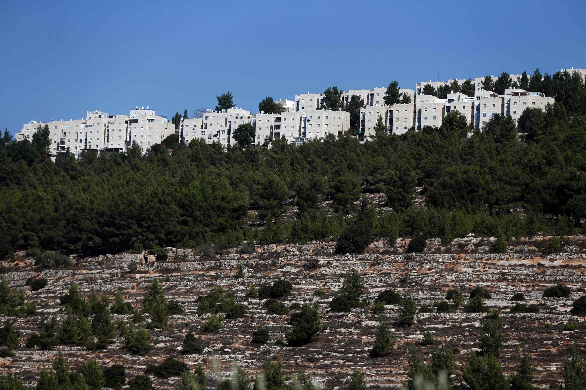 A picture taken on November 3, 2016 shows a partial view of the Jewish settlement of Gilo in Israeli-annexed east Jerusalem. (AFP PHOTO)