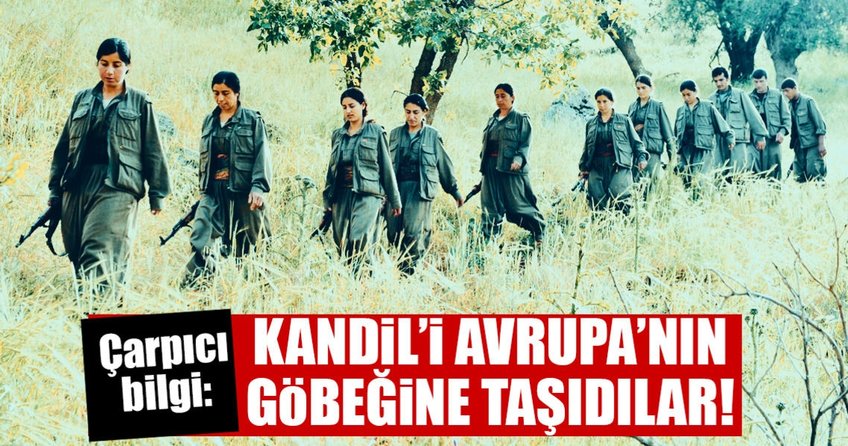 Alp eteklerindeki PKK eğitim kampı Europol raporunda