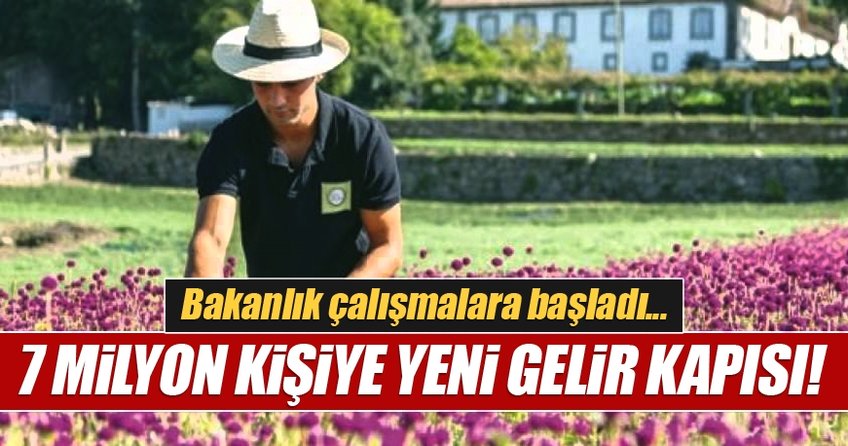 7 milyon kişiye yeni gelir kapısı!