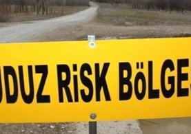 Kuduz kurban paniği: 104 kişi hastanede