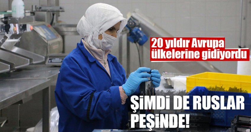 20 yıldır Avrupa ülkelerine gidiyordu! Şimdi de Ruslar peşinde