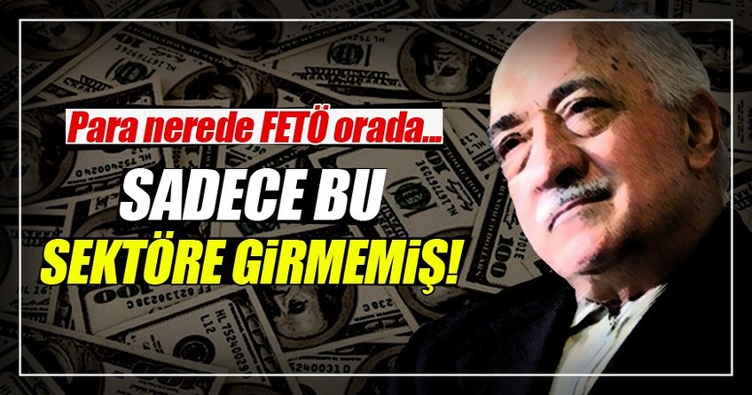 FETÖ sadece bu sektöre yatırım yapmamış!