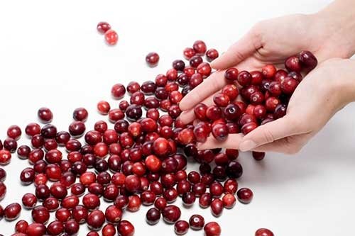 Saglik Deposu Kirmizi Meyve Cranberry Cosmopolitanturkiye