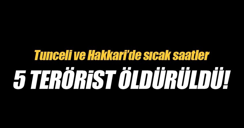 Tunceli ve Hakkari'de 5 terörist öldürüldü