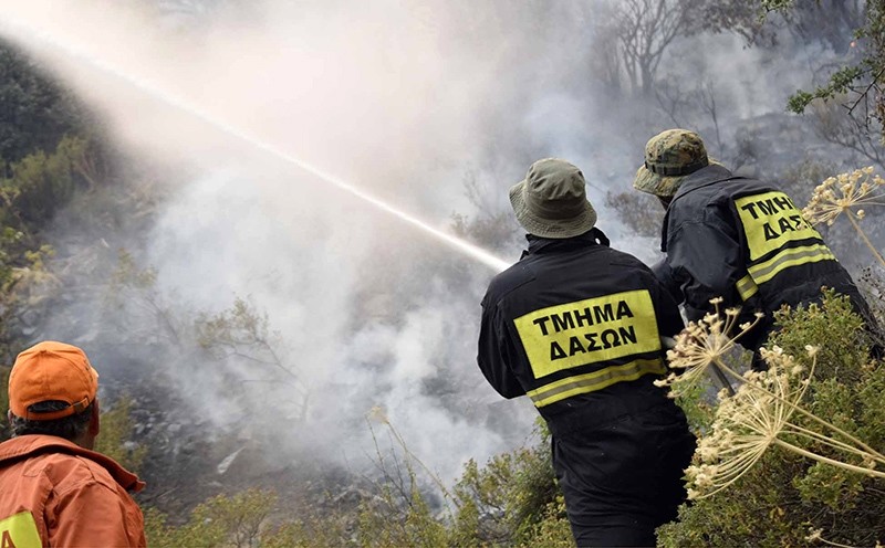 A Cypriot reservist volunteer firefighter (L) and members of the forest department battle fire on June 21, 2016 during a forest fire above the Cypriot village of Evrychou in the Troodos mountain area (AFP Photo)