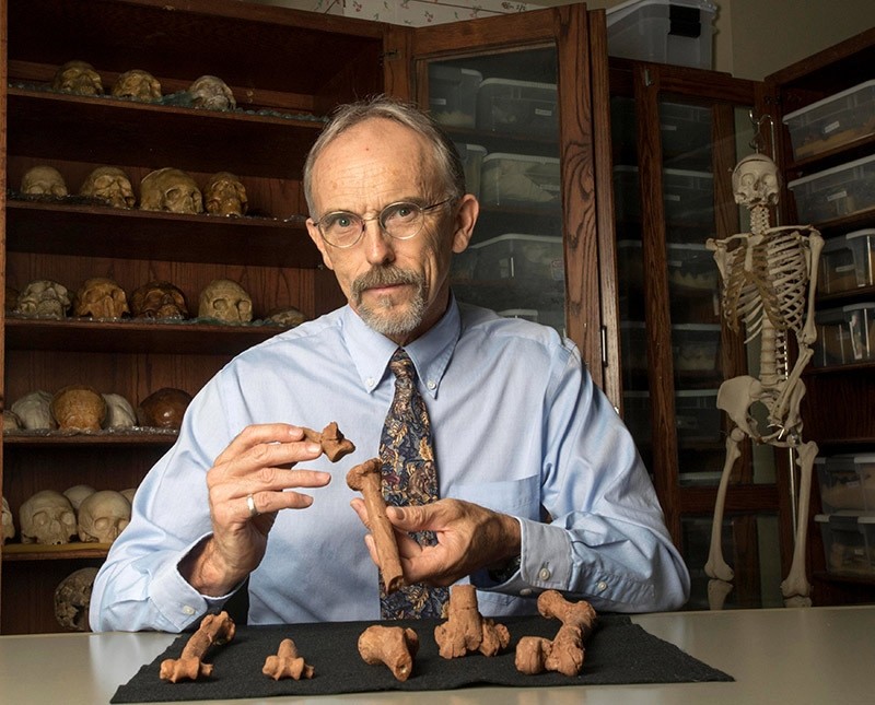 Paleoanthropologist John Kappelman is seen with 3D printouts of Lucyu2019s skeleton in this image from the University of Texas at Austin, U.S.  (Reuters Photo)