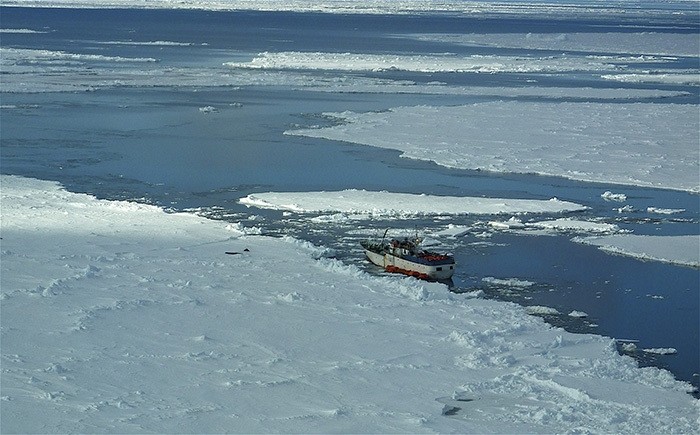 The Russian fishing boat Sparta lies stranded in Ross Bay in Antarctica about 2,000 nautical miles (3,700 km) southeast of New Zealand in this handout picture taken on December 17, 2011. (Reuters Photo)