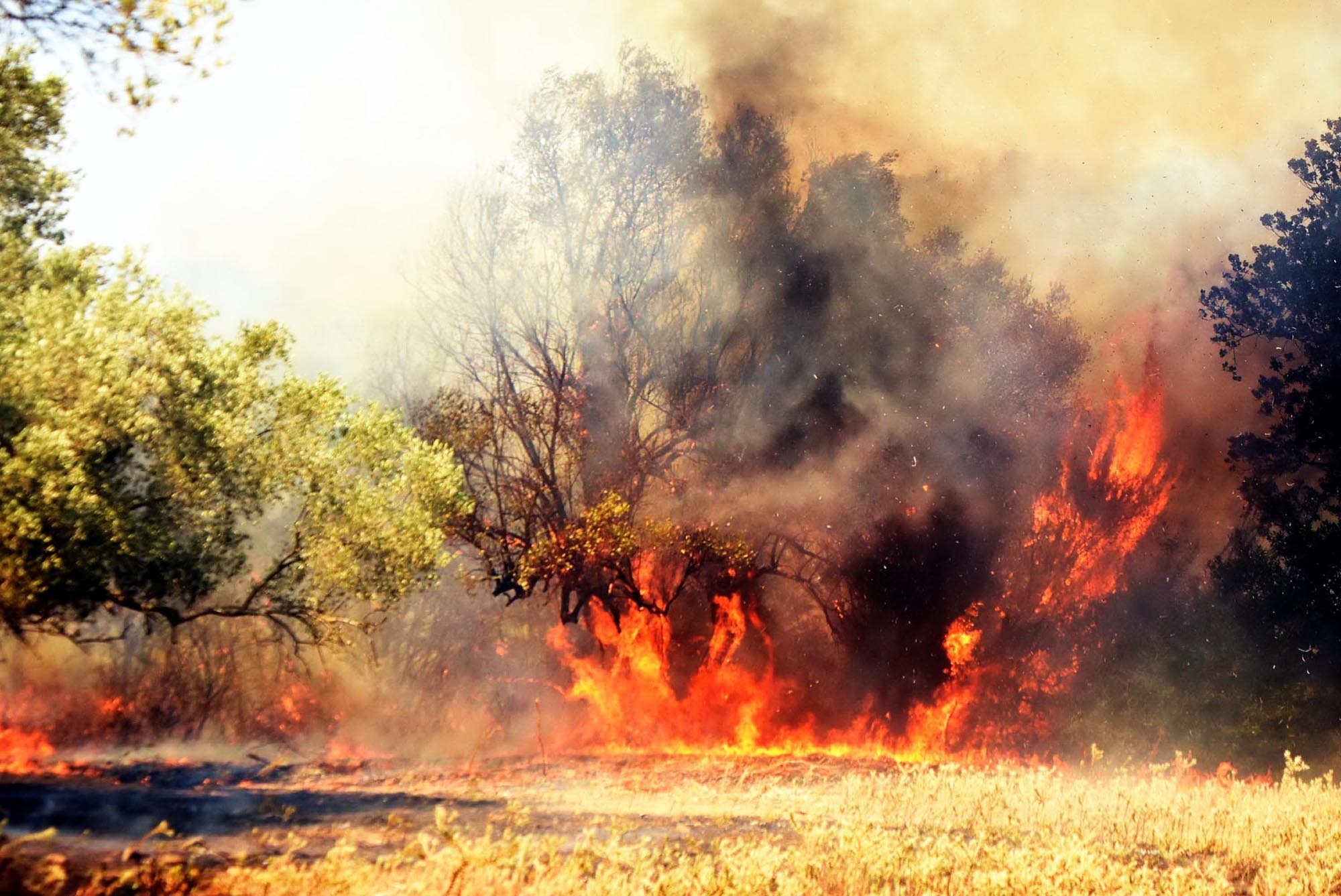 Massive wildfire in Turkish resort town of Bodrum under control 7 hours