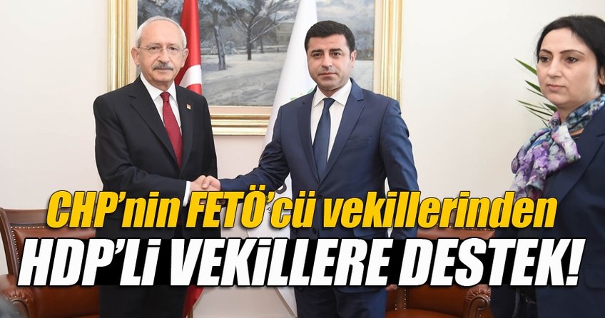 CHP'nin FETÖ'cülerinden HDP'ye destek!