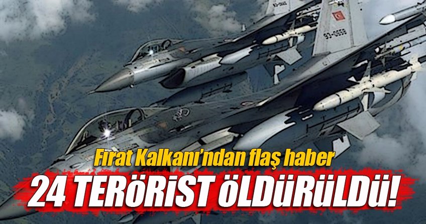 24 DEAŞ'lı terörist etkisiz hale getirildi