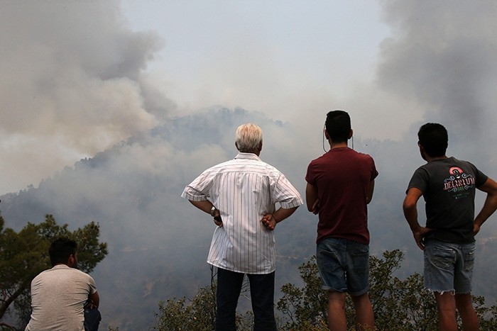 People watch the destruction by the fire in the Troodos mountain area of Cyprus, 21 June 2016. (EPA Photo)
