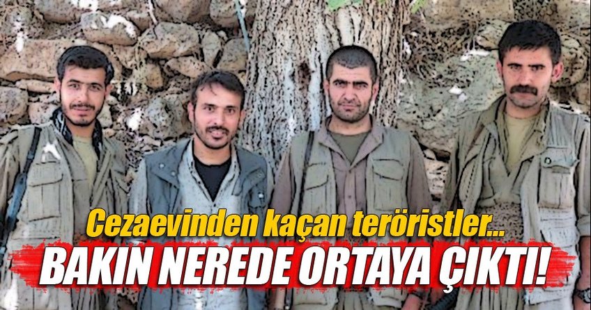 Diyarbakır Cezaevi’nden kaçan 4 PKK’lı Kandil’de ortaya çıktı