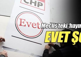 Cumhurbaşkanlığına CHP ve HDP tabanından evet