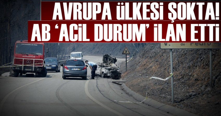 Portekizde orman yangını: 62 ölü