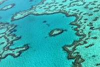 This file photo taken on November 20, 2014 shows an aerial view of the Great Barrier Reef off the coast of the Whitsunday Islands, along the central coast of Queensland (AFP Photo)