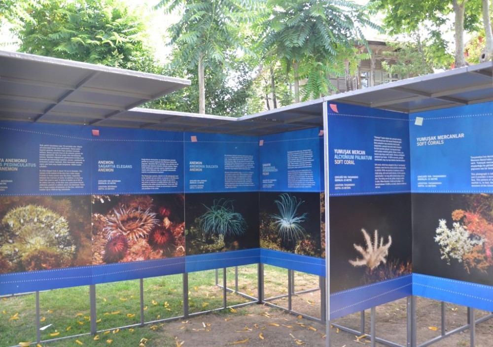 Photos by underwater photographer Ateu015f Evirgen and video from Seru00e7o Eku015fiyan reveal what is happening in the sea and to underwater life, vividly and dramatically. The exhibition will be open for a year.