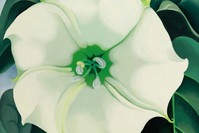 Georgia Ou2019Keeffeu2019s record-setting artwork Jimson Weed / White Flower No. 1 (1932) was sold for $44.4 million in 2014. The artist maintains her place at the top of Artnetu2019s list.