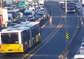 Metrobüs yolunda akıl almaz olay