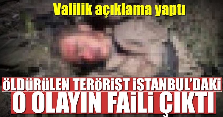 Öldürülen PKK'lı terörist cinsel istismarcı çıktı