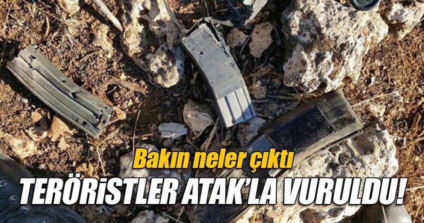 Mardin'de terör operasyonu