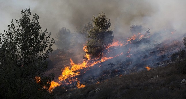  A forest fire in Nataf near Jerusalem, Israel, 23 November 2016. (EPA Photo)